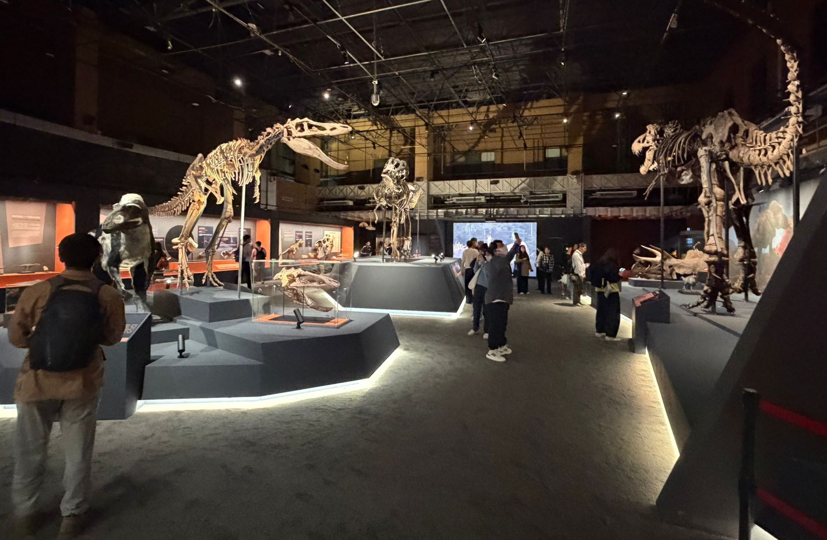 Dino Ausstellung1